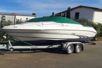 SeaRay 200 Motorboot Rheinland-Pfalz - Freinsheim Vorschau