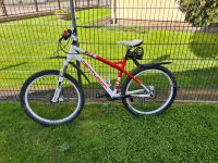 Fahrrad / MTB / Mountainbike / Centurion / 46cm / Backfire Brandenburg - Mittenwalde Vorschau