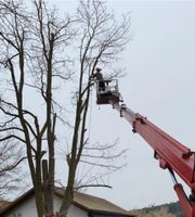 ❗Baumfällung,Hecke/Problembaum fällen / entfernen, Heckenschnitt Bayern - Bruckberg bei Landshut Vorschau