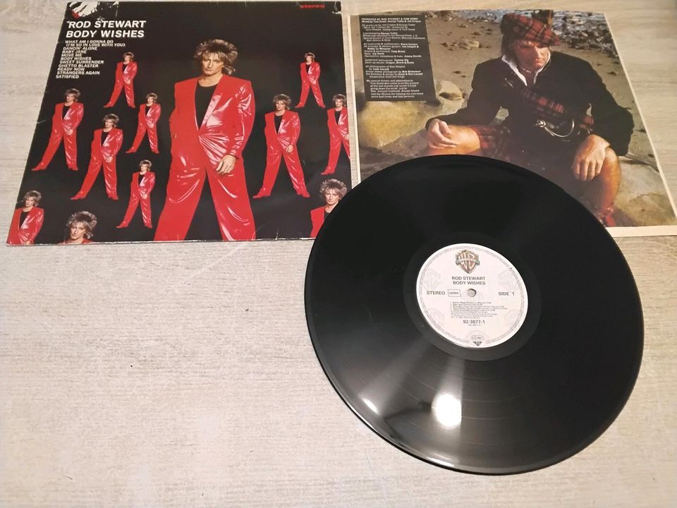 Schallplatten Vinyl  " ROD STEWART " ROCK der 1970er und 80er in Friedberg