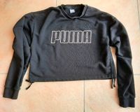 Puma Cropped Sweatshirt schwarz Damen Gr. M Nordrhein-Westfalen - Schmallenberg Vorschau