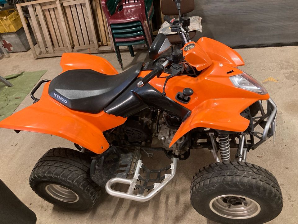 Quad Kymco Maxxer 300 in Bad Salzuflen