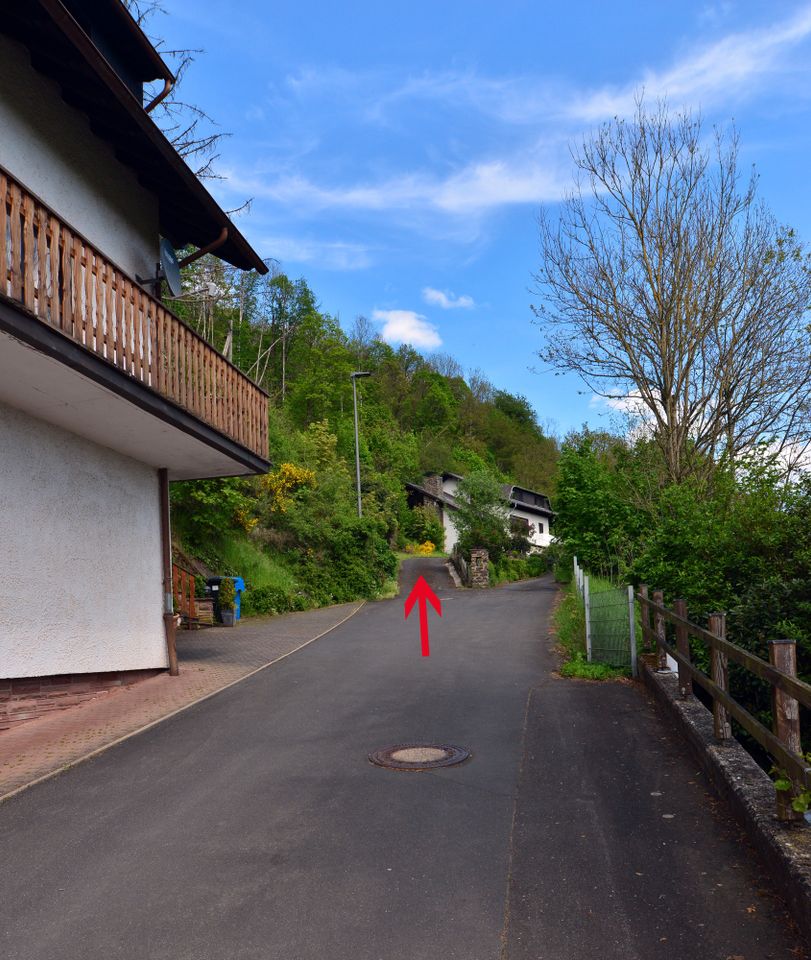 Ihr Steinadler-Horst über Waxweiler – Ihre Fläche für ein Tiny-Ferien-Holz-Haus-Schloss in Waxweiler