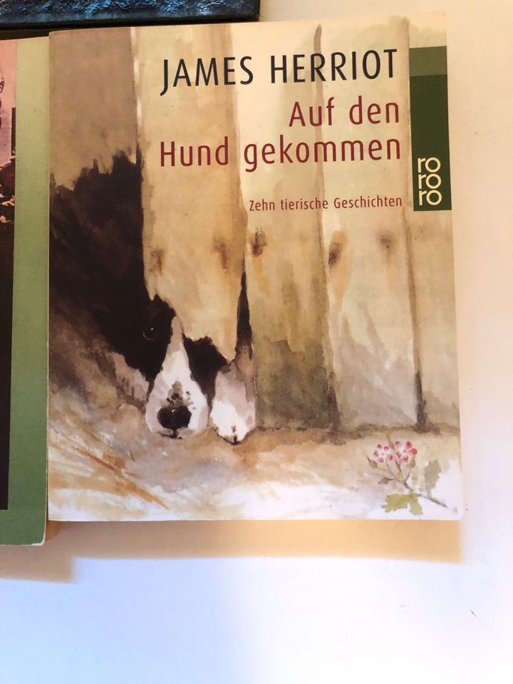 James Herriot alles für die Katz, Hund Geschichten in Gerabronn