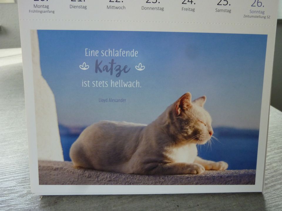 Postkarten 53 Stück "Katzen Weisheiten" in Merklingen