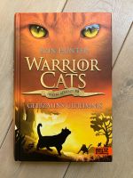 Warrior Cats Sondergeschichte: Gelbzahns Geheimnis Brandenburg - Panketal Vorschau