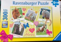 Ravensburger Puzzle ab 8 J. 300 Teile Pferde Baden-Württemberg - Murg Vorschau