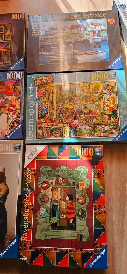 Verschiedene Puzzle 1000Teile  Ravensburger, Jumbo in Niederstotzingen