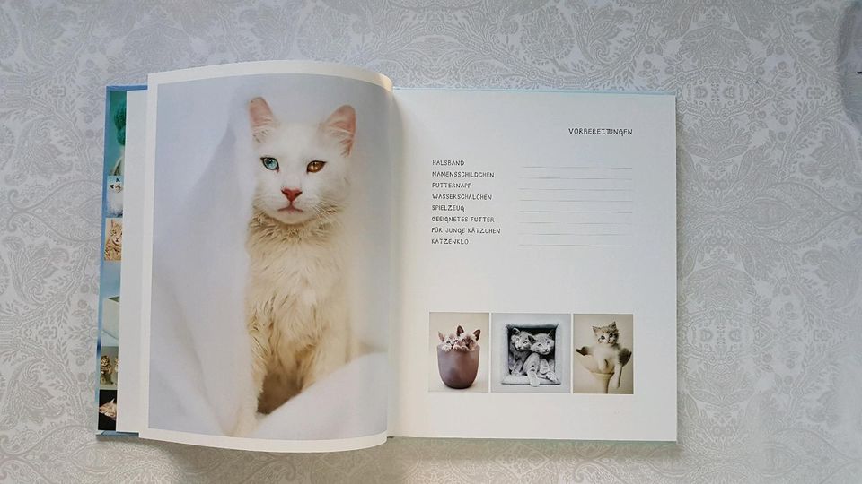 Mein Katzenleben Buch Rachele Hale in Weil am Rhein