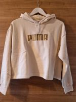 Puma Hoodie Bayern - Tirschenreuth Vorschau