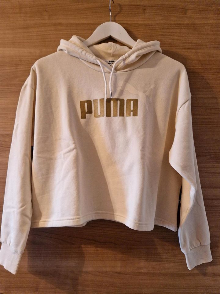 Puma Hoodie in Tirschenreuth