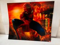 Acrylglas Bild Acrylfoto Glasfoto Spiderman 3D Optik Hologramm Nordrhein-Westfalen - Solingen Vorschau