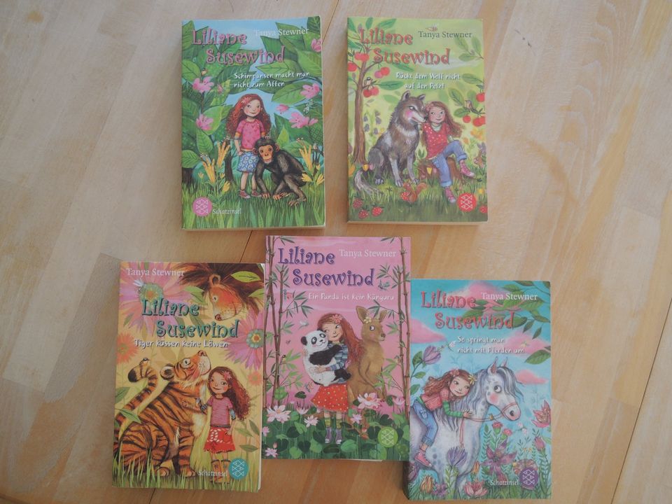 Kinderbuch "Liliane Susewind" 3 Bände in Kodersdorf