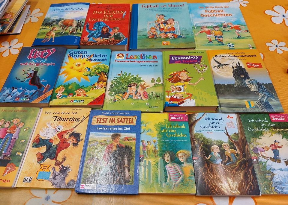 Bücherpaket Kinderbücher Harry Potter Wörterbuch Krambanbuli in Solingen