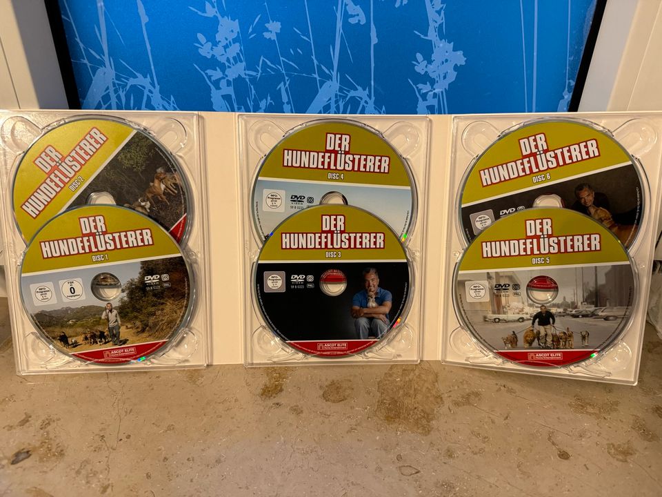 Der Hundeflüsterer mit César Millan Staffel 1 - 6 DVDs  NEU in Schwerin