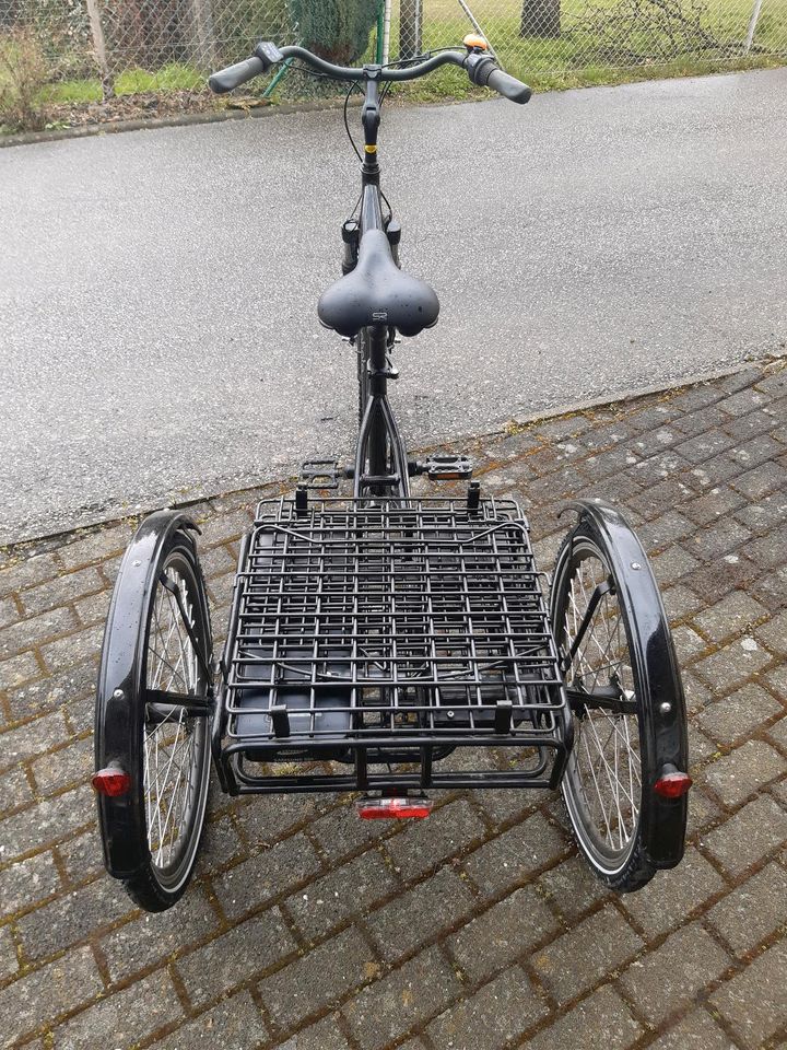 3 Rad Elektro Fahrrad Prophete in Pfalzfeld