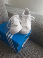 Adidas Originals Kinder Sneaker Superstar C in EU31 weiß TOP Nordrhein-Westfalen - Gelsenkirchen Vorschau