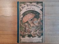 DER PILZSAMMLER 1883 Erstausgabe Gotthold Hahn Bayern - Neu Ulm Vorschau