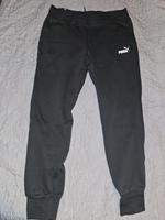 Puma Sporthose Hessen - Wiesbaden Vorschau