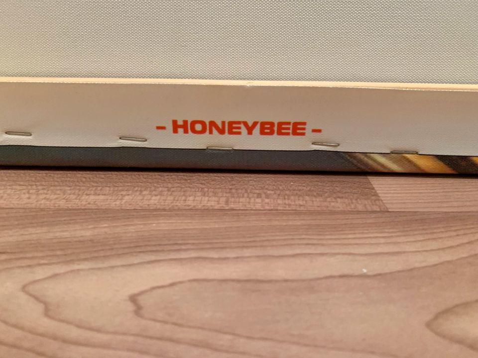 Leinwände- Bild- Honeybee-  3 teilig - sehr gut erhalten! in Deggendorf