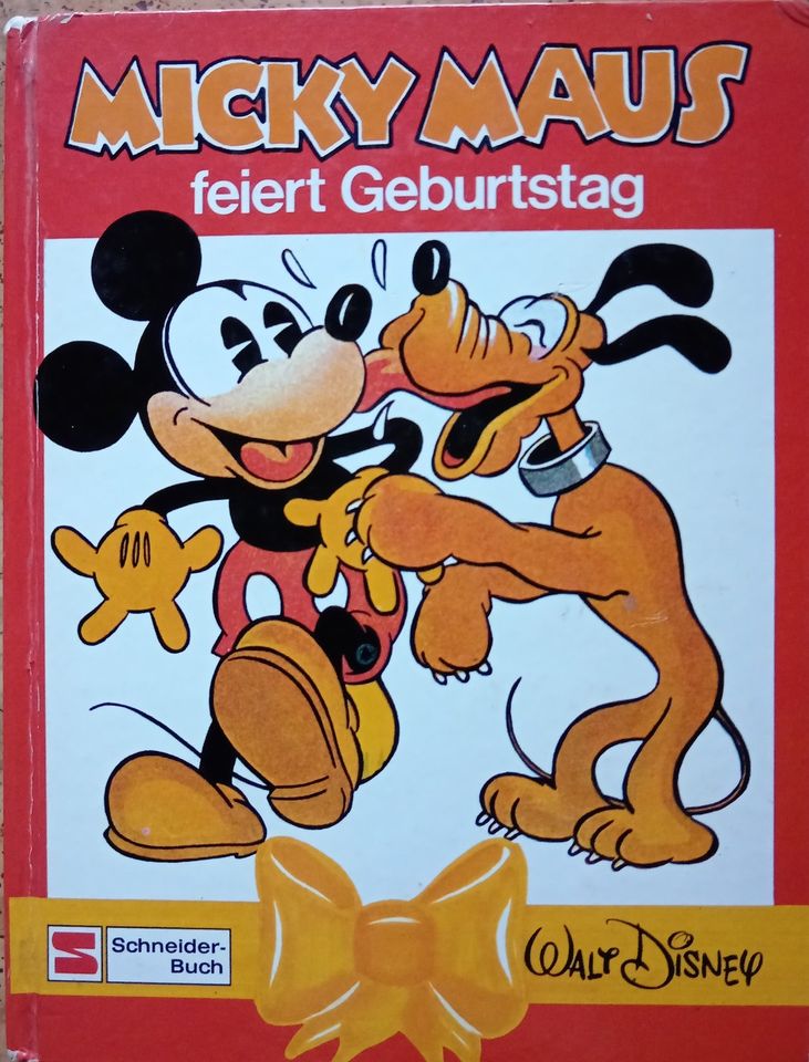 2x Kinderbuch "Micky Maus feiert Geburtstag"/"Abenteuer im Disney in Regensburg