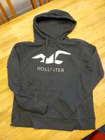 Hollister Damen Hoodie Größe M Kiel - Ellerbek-Wellingdorf Vorschau