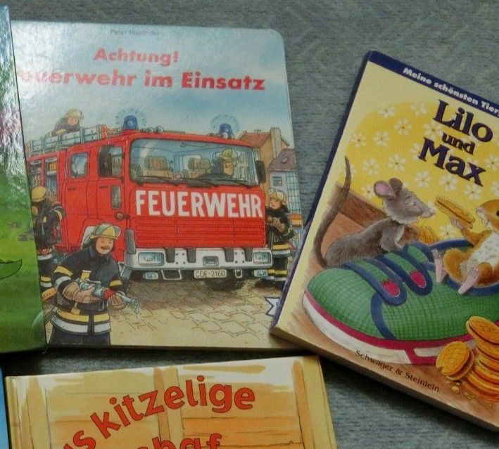 4x Buch Maus erzähl Feuerwehr im Einsatz! Tabaluga Lilo und Max in Dettingen an der Iller