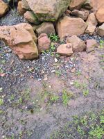 Sandsteine Findlinge Sandsteinmauer Trockenmauer Hessen - Hirzenhain Vorschau