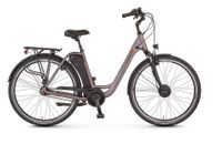 E-Bike Fahrrad Elektrorad Electrofahrrad Niedersachsen - Ostrhauderfehn Vorschau