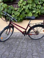 Fahrrad Damen 26 Zoll Bayern - Osterhofen Vorschau