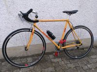 Rennrad 28 Zoll Marke Koga Miyata. Rheinland-Pfalz - Speyer Vorschau