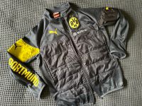 BVB/Puma Trainingsjacke warm Gr. 164 Nordrhein-Westfalen - Arnsberg Vorschau