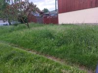 Verschenke Gras Heu Futter für Tiere Thüringen - Buttstädt Vorschau