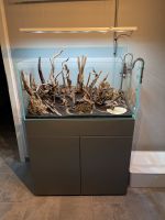 90P Aquarium Set | Aquascape Set 180l Rheinland-Pfalz - Hümmel Vorschau