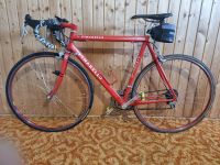 Rennrad Pinarello Paris  28" Alu  Rahmen 49 Baden-Württemberg - Aalen Vorschau