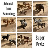Original Schleich Tiere Afrika Haustiere Bauernhof Hessen - Eltville Vorschau