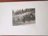 11 schwarz weiß  Fotografien Alpenraum Italien Um 1900 Kiel - Schreventeich-Hasseldieksdamm Vorschau