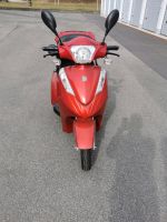 E-Scooter Econelo S-1000, rot, defekter Akku Bayern - Bamberg Vorschau