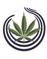 Cannabis Beratung Anbau Prävention Online Kiel - Kiel - Vorstadt Vorschau