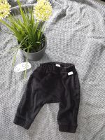 Jogginghose H&M Größe 56 NEU Nordrhein-Westfalen - Werl Vorschau