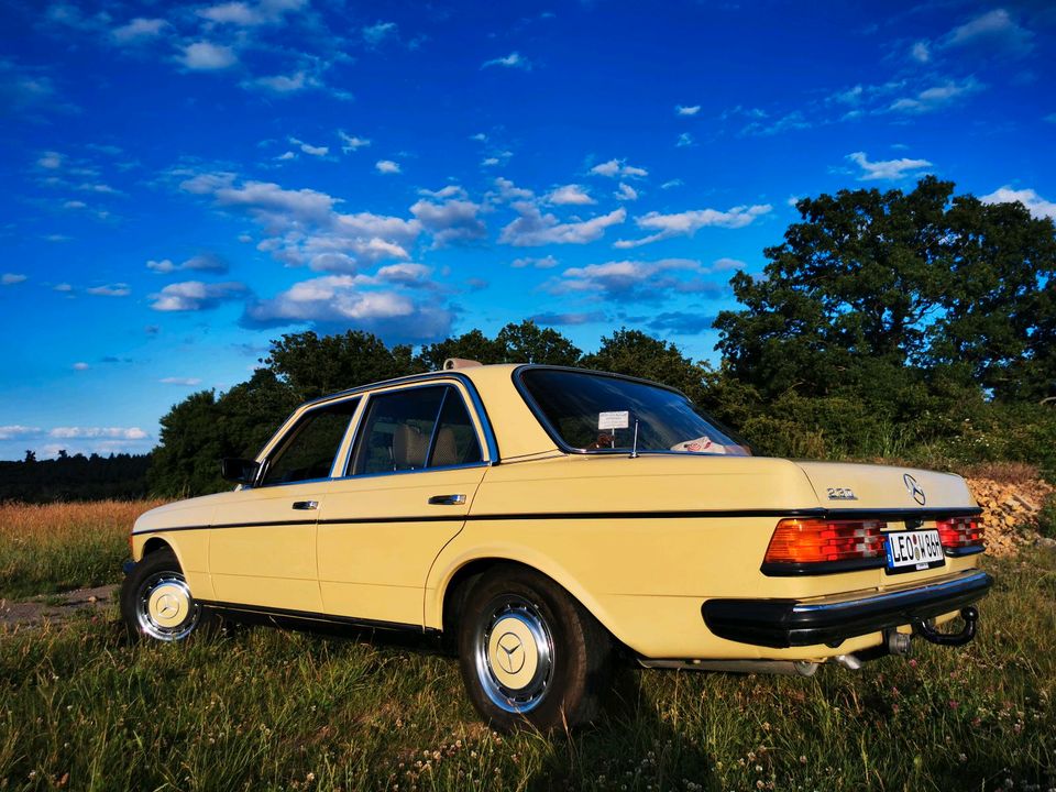 Mercedes Benz W123 230 in Dachau