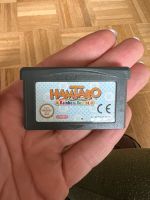 Hamtaro Rainbow Rescue Gameboy Advance Hessen - Bad Vilbel Vorschau