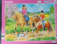 Pferde Puzzle gebraucht Bayern - Obernburg Vorschau