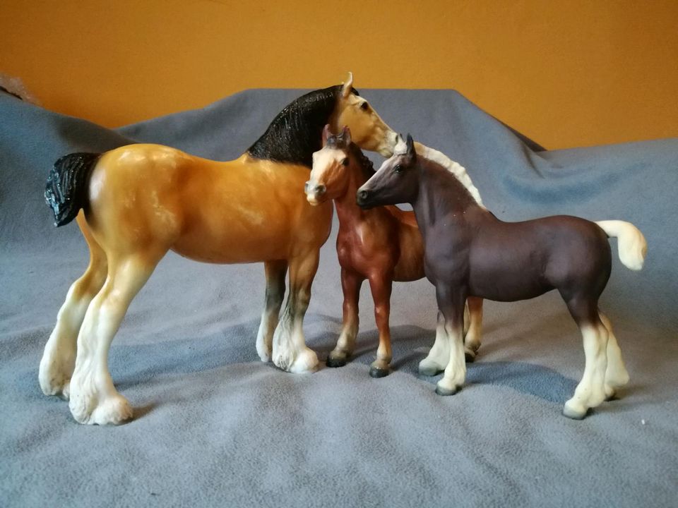 Breyer pferde Traditional und classic sowie Zubehör in Ramsthal