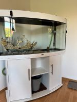 Panorama-Aquarium Juwel Brandenburg - Schwedt (Oder) Vorschau