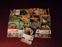 Tierbuch Tierfreunde Buch Tier Tiere Disney Nürnberg (Mittelfr) - Nordstadt Vorschau