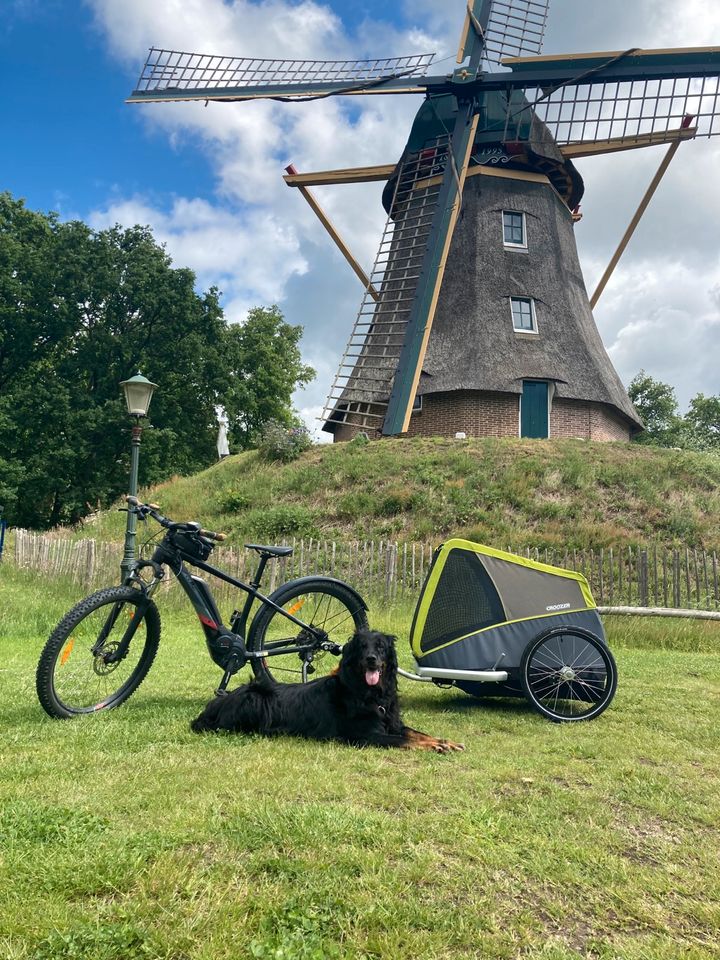 Zu vermieten verleihen Croozer Dog Jokke XL Hundeanhänger Fahrrad in Marienheide