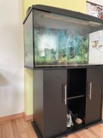 Aquarium mit Zubehör Brandenburg - Spremberg Vorschau