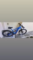 E-Bike CANNONDALE MOTERRA NEO 3, 29 ZOLL, ALU, SHIMANO XT, 12-G Bayern - Bad Abbach Vorschau