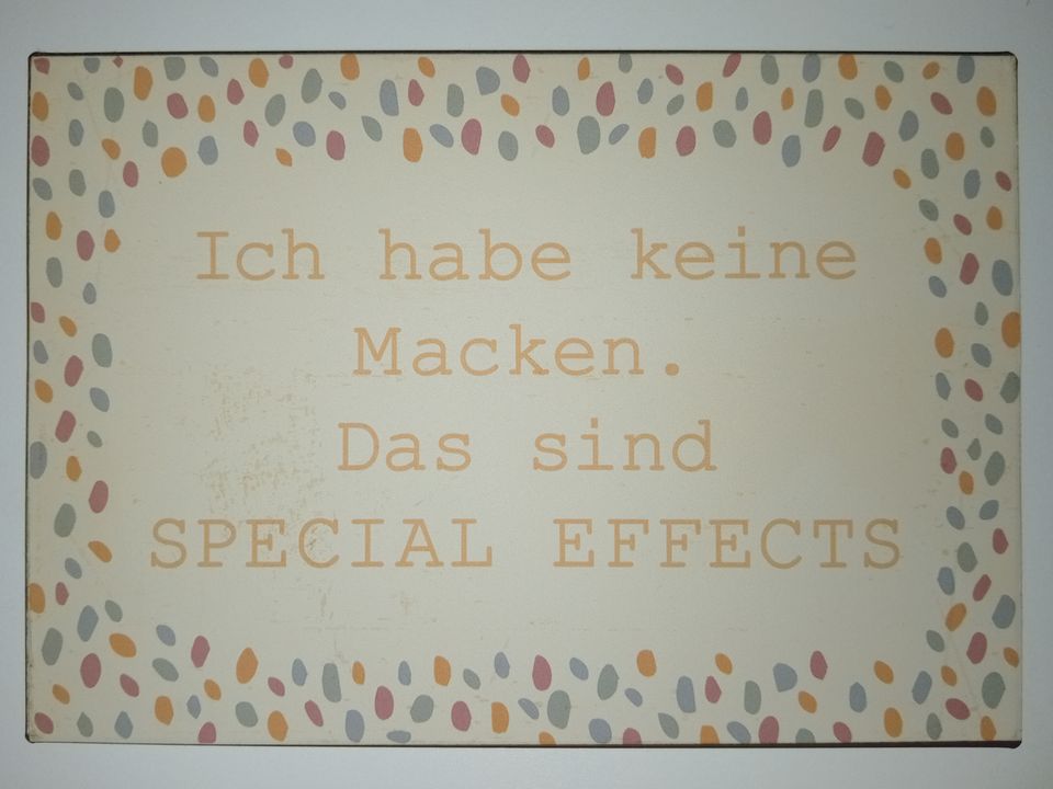 Blechschild Schild mit Spruch SPECIAL EFFECTS 20x14cm Deko Bild in Karlsruhe